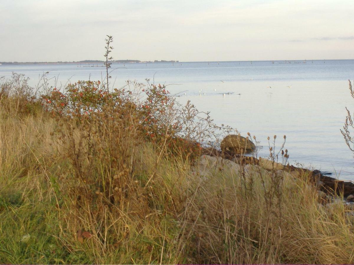 Ostseestrandhuus, Einzigartige Seelage Großenbrode Zewnętrze zdjęcie